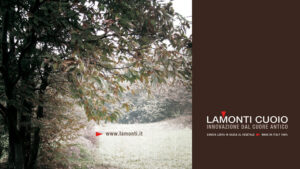 Lamonti Cuoio su “Leather & Luxury”